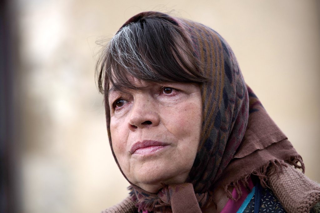 Photo du film Les Vieux fourneaux