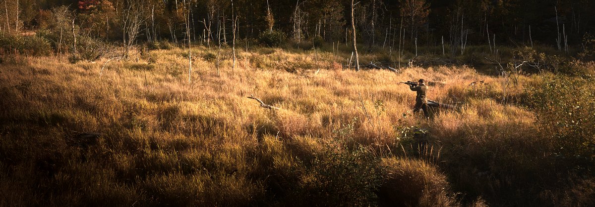 Photo from the movie La Switch