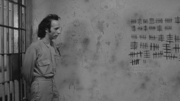 Photo from the movie Down By Law