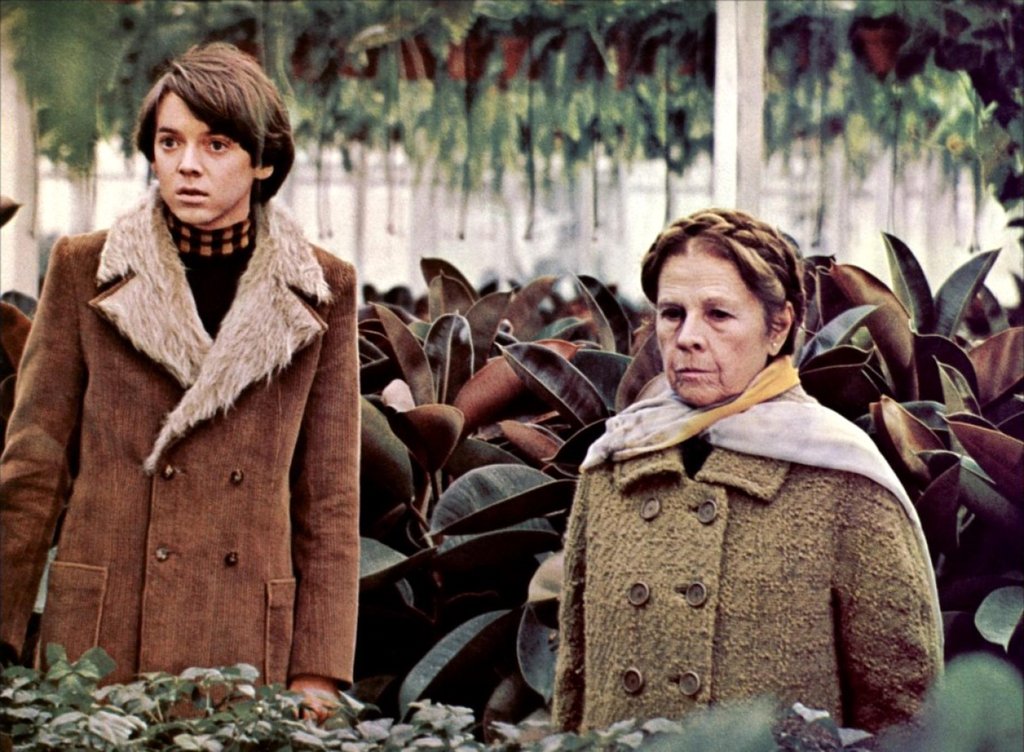 Photo du film Harold et Maude