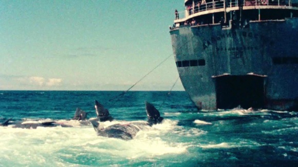 Photo du film How to Change the World