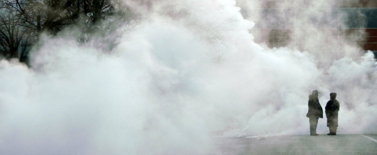 Photo from the movie The American Question