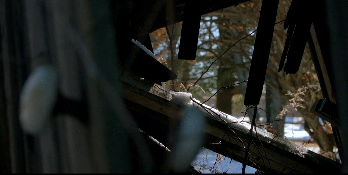 Photo from the movie The American Question