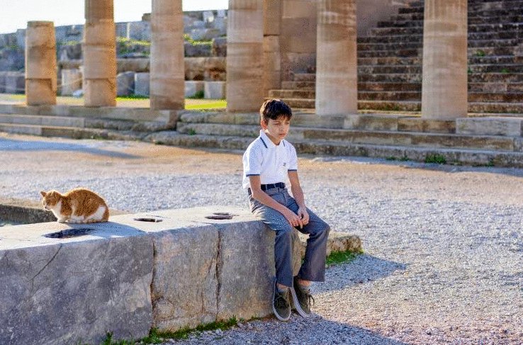 Photo du film The Wedding Veil Journey