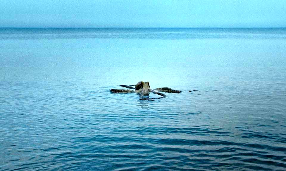 Photo from the movie All You Can Eat Buddha