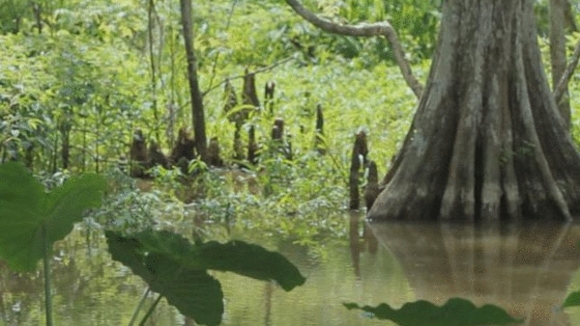 Photo du film The Big Uneasy