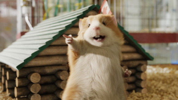 Photo du film Opération G-Force