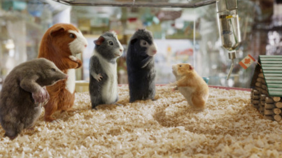 Photo du film Opération G-Force