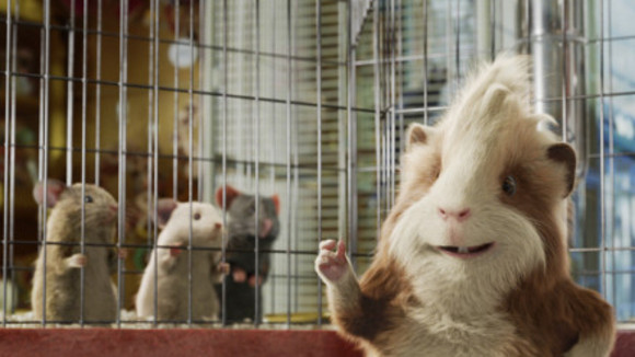 Photo du film Opération G-Force