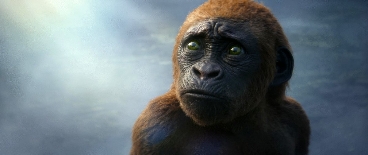 Photo du film Godzilla x Kong: The New Empire