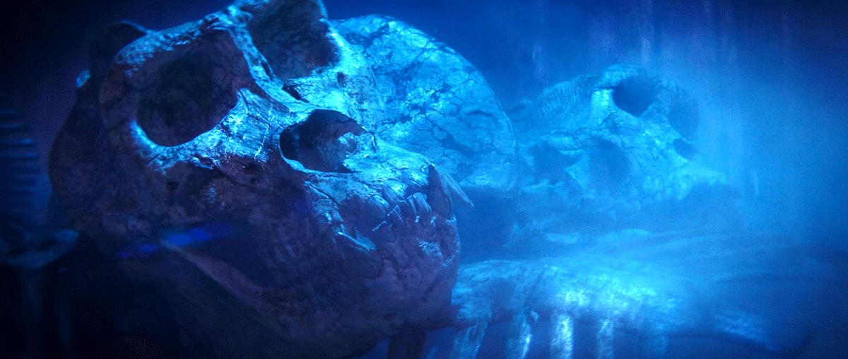 Photo du film Godzilla x Kong: The New Empire