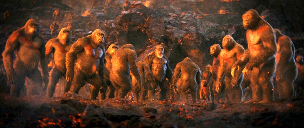 Photo du film Godzilla x Kong: The New Empire