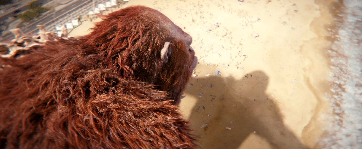 Photo du film Godzilla x Kong: The New Empire