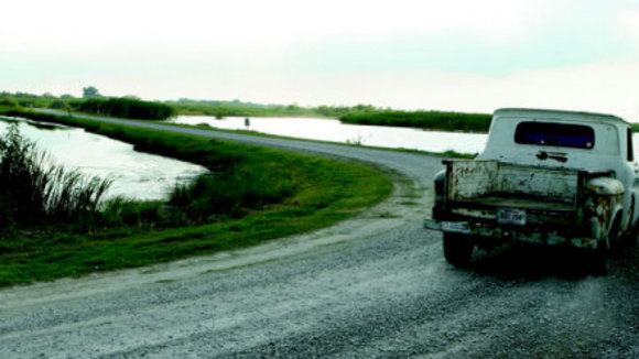 Photo du film Little Chenier