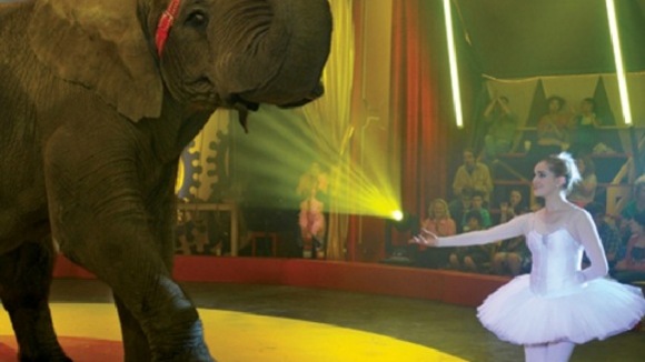 Photo du film Sophie