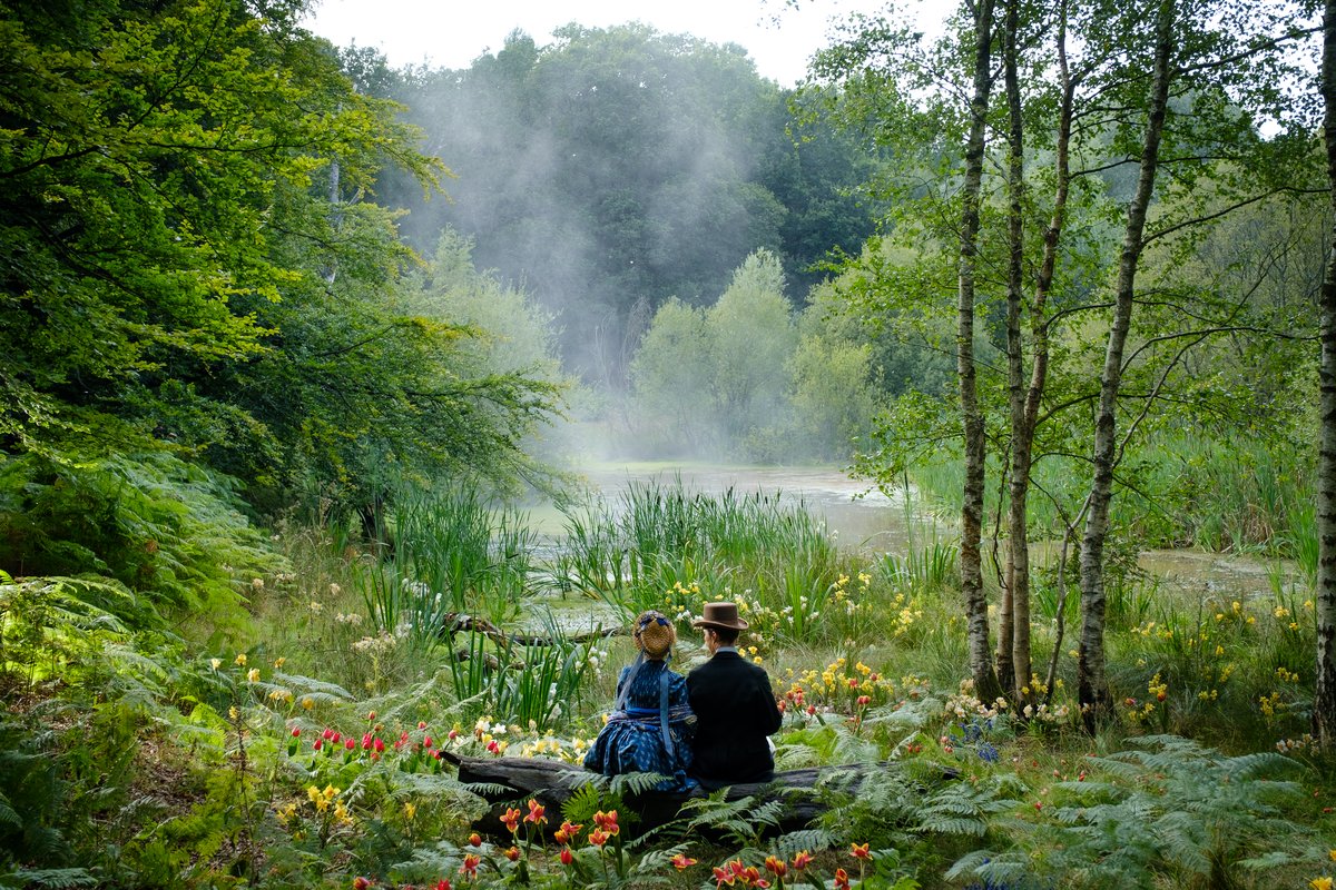 Photo du film The Electrical Life of Louis Wain
