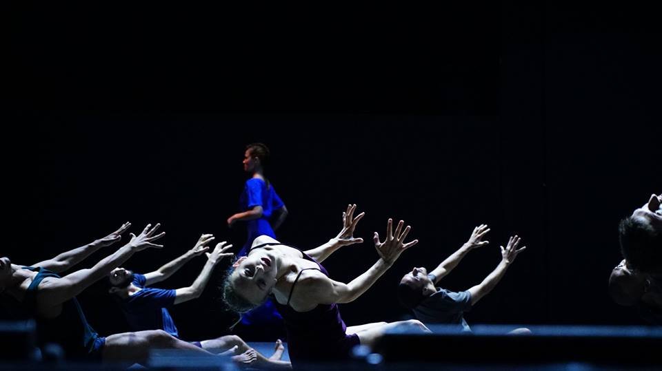 Photo du film Mr Gaga: Sur les pas d'Ohad Naharin