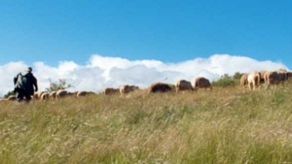 Photo from the movie Modern Life