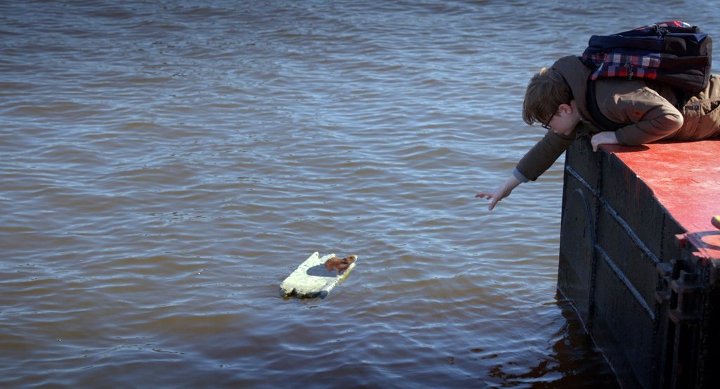 Photo du film Mon ami Raffi