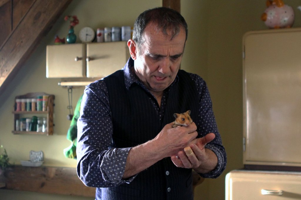 Photo du film Mon ami Raffi