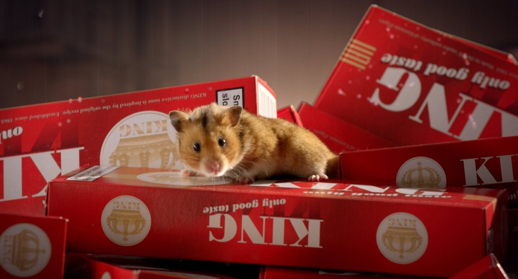 Photo du film Mon ami Raffi