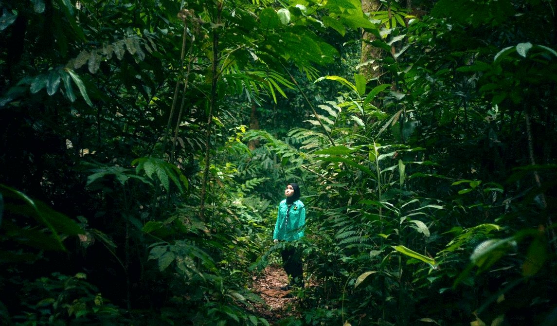 Photo du film Tiger Stripes [2023]