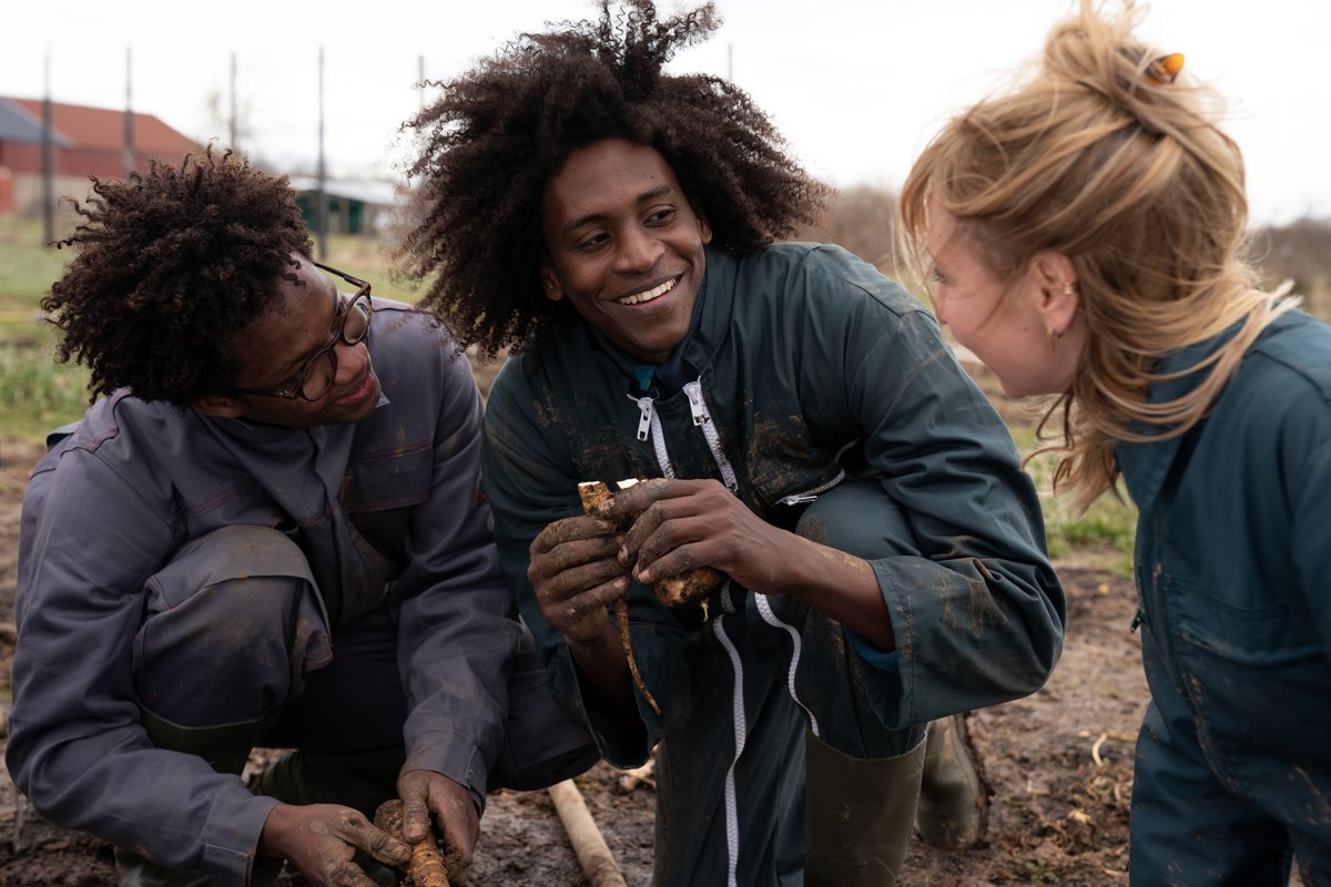 Photo du film La brigade