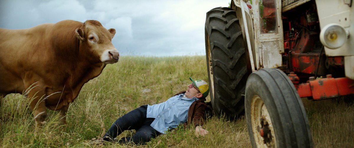 Photo du film Cinq hectares