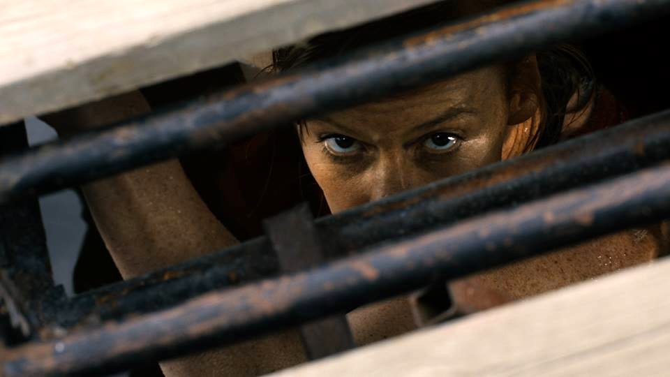 Photo from the movie Blood Stripe