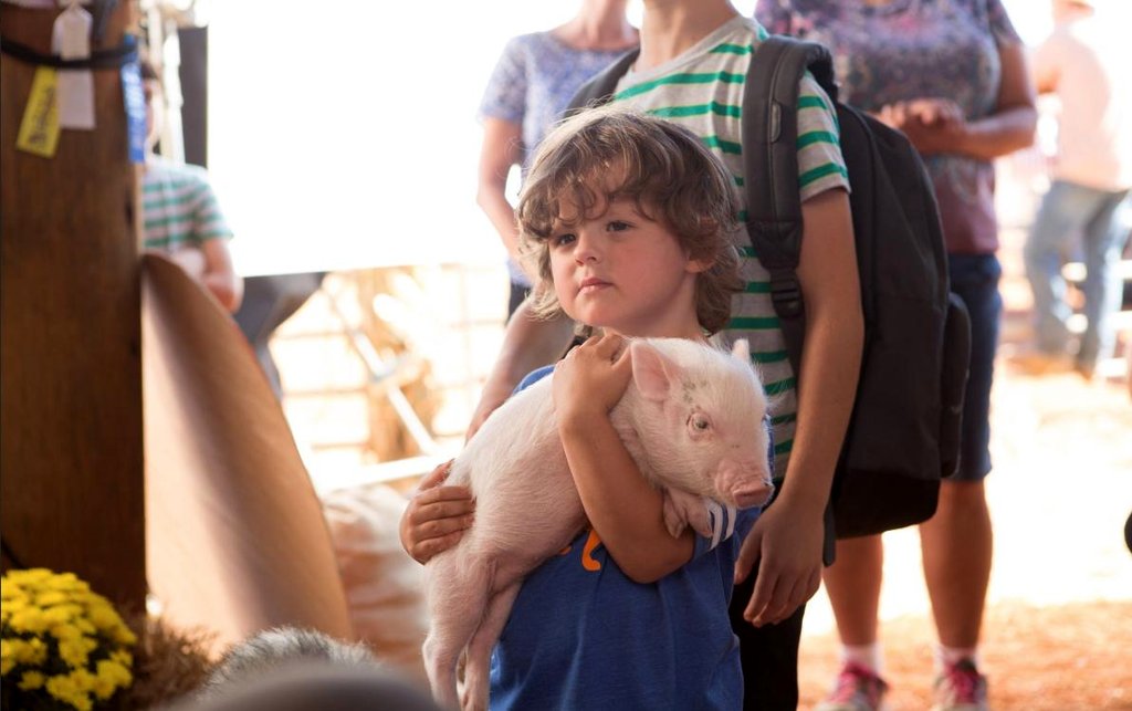 Photo du film Journal d'un dégonflé: un looong voyage