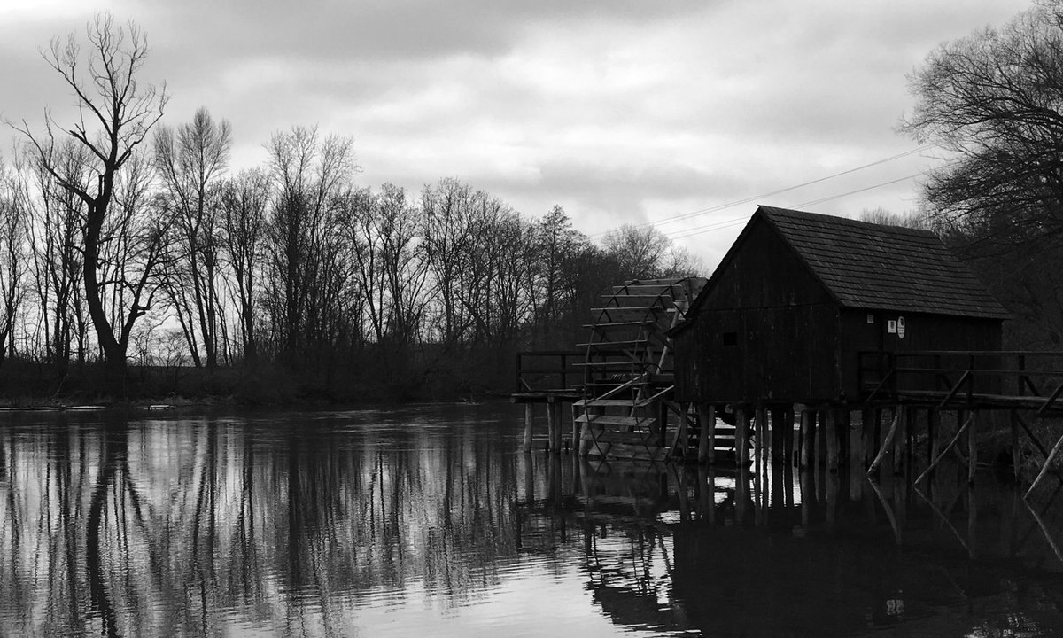 Photo from the movie The Painted Bird