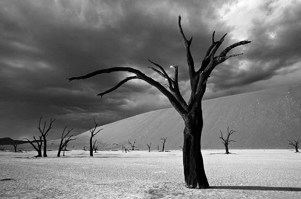 Photo from the movie The Painted Bird