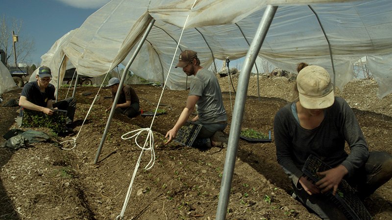 Photo from the movie La Ferme et son État [2017]