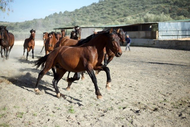 Photo from the movie Chasing Perfect