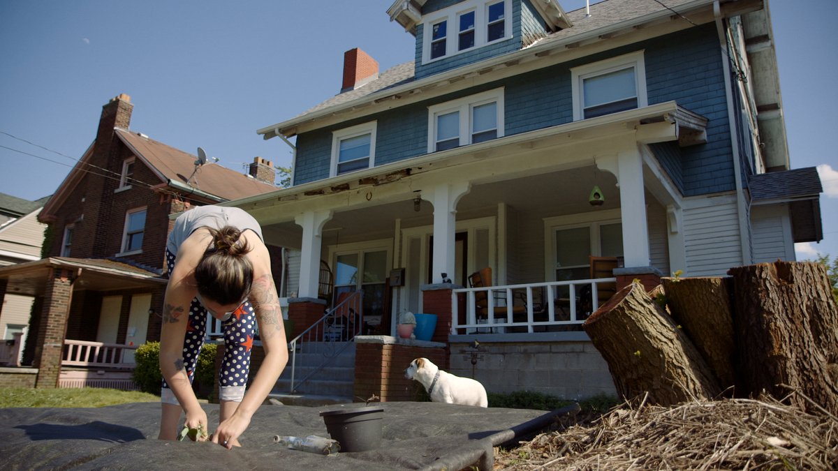 Photo from the movie Greyland