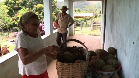 Photo du film The Carbon Rush