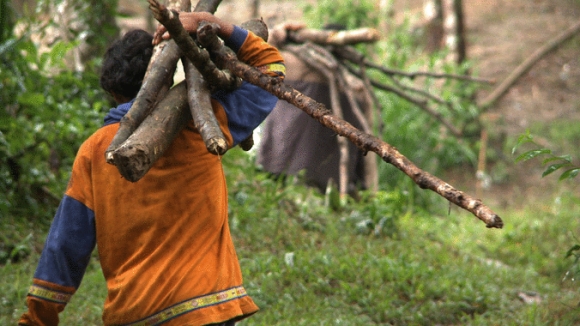 Photo du film The Carbon Rush