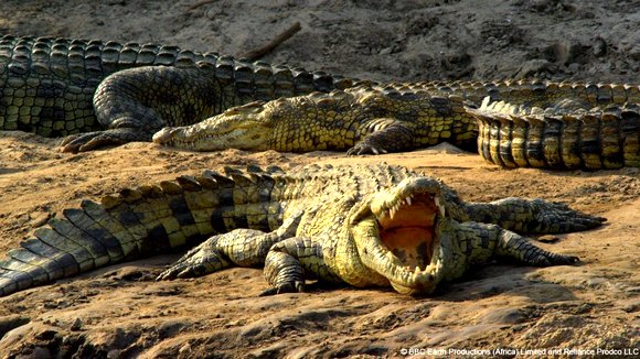 Photo du film Enchanted Kingdom