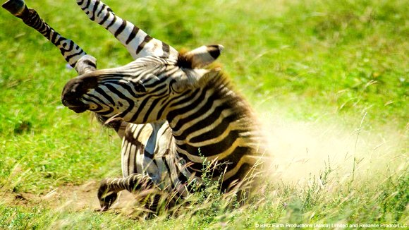 Photo du film Enchanted Kingdom