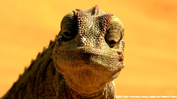 Photo du film Enchanted Kingdom