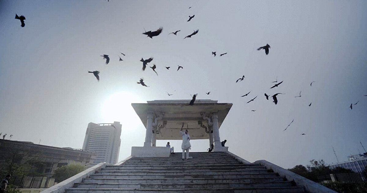 Photo from the movie All That Breathes