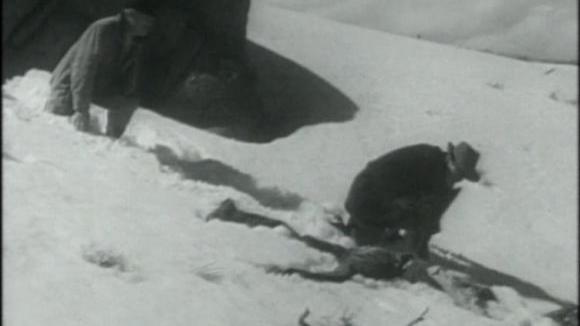 Photo du film On Dangerous Ground