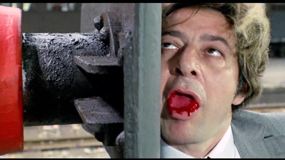 Photo du film Il gatto a nove code