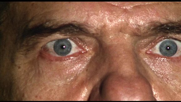 Photo du film Il gatto a nove code