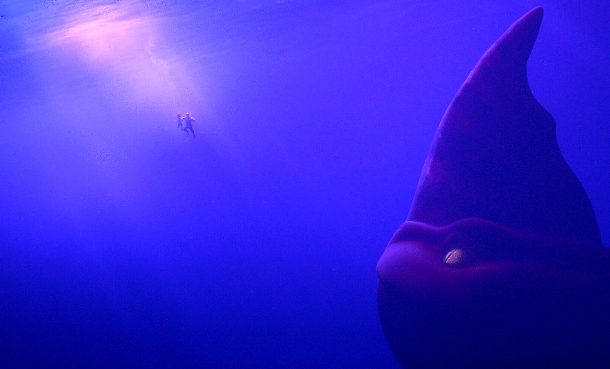 Photo du film The Sea Beast