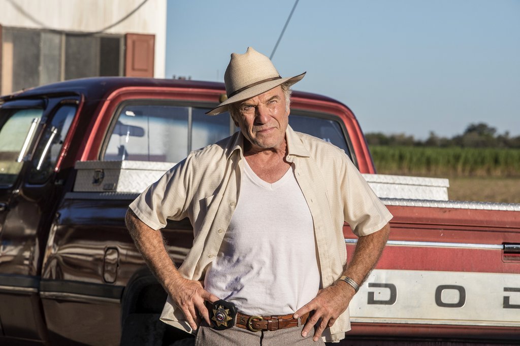 Photo du film A Violent Separation