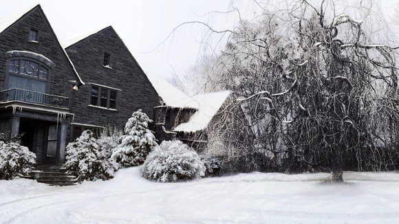 Photo from the movie The Red Robin