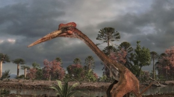 Photo from the movie Flying Monsters