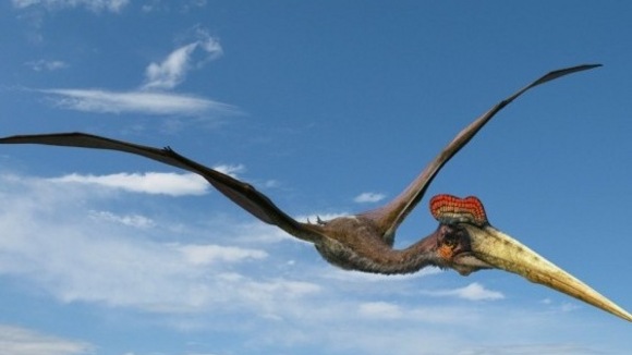 Photo from the movie Flying Monsters