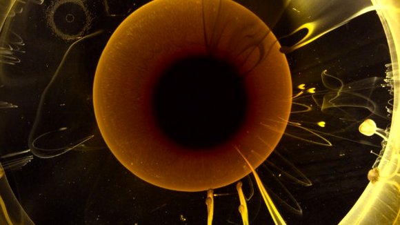 Photo du film Voyage of Time